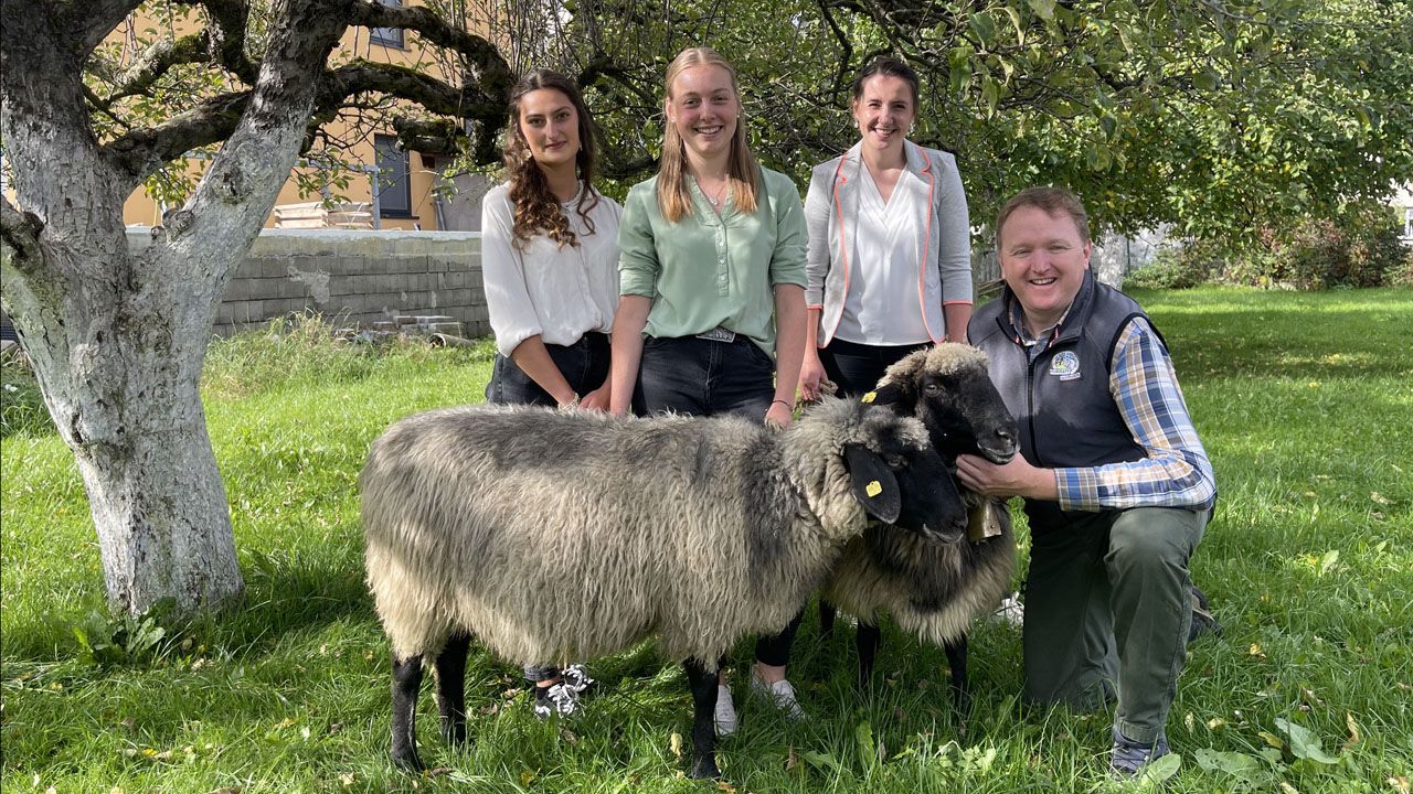 Vorschaubild zum Video: Schafwollprojekt Landwirtschaftsschule Bruck