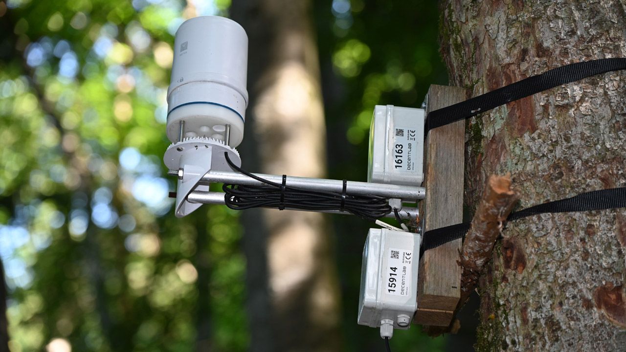 Monitoring der Waldbrandgefahr